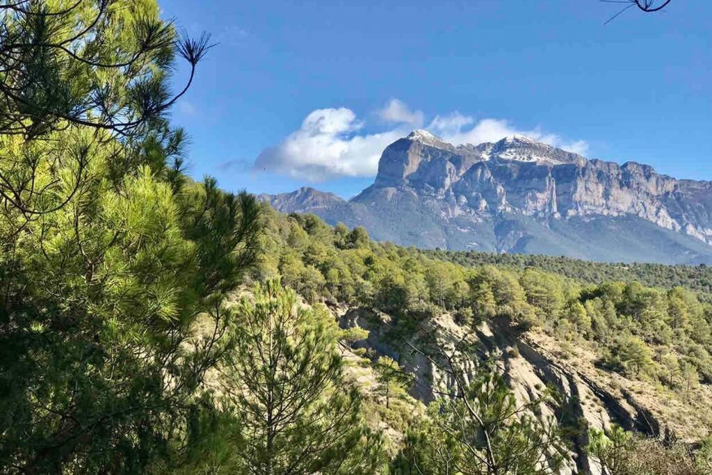Apartamento Siente Sobrarbe En Ainsa Bagian luar foto